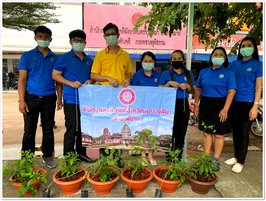 ﻿สํานักงานบังคับคดีจังหวัดนครราชสีมา สาขาพิมาย ร่วมกิจกรรมวันต้นไม้ประจำปีของชาติ พ.ศ. 2564